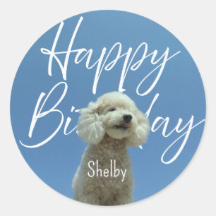 Aangepaste Poodle Gefeliciteerd Blauwe Lucht Retro Ronde Sticker