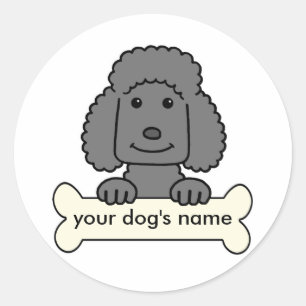 Aangepaste pool ronde sticker
