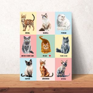 Aangepaste Poster van Kattenras - Voeg Jouw Eigen Perfect Poster