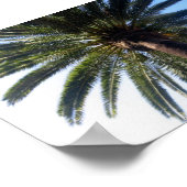 Aangepaste Poster voor beach Palm Tree afdrukken (Hoek)