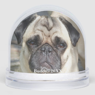 Aangepaste Pug Dog Foto Sneeuwbol