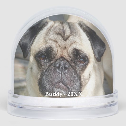 Aangepaste Pug Dog Foto Sneeuwbol (Voorkant)
