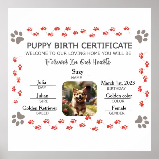 Aangepaste Puppy Geboortecertificaat Poster (Voorkant)