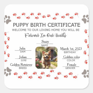 Aangepaste Puppy Geboortecertificaat Vierkante Sticker