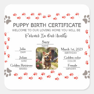 Aangepaste Puppy Geboortecertificaat Vierkante Sticker
