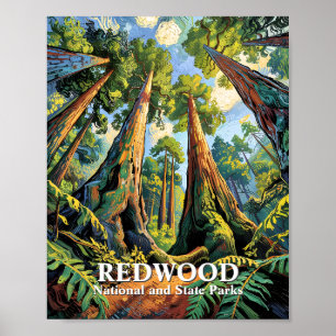 Aangepaste Redwoods National Park Californië Van G Poster