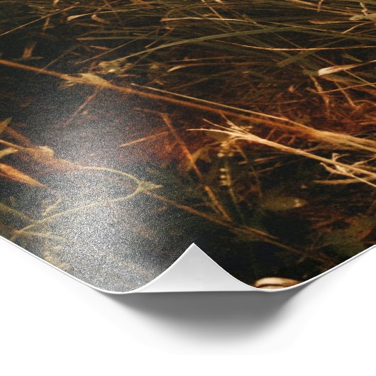 Aangepaste reeks foto afdruk (Hoek)