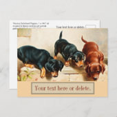 Aangepaste  Retro Funny Cute Dachshund Puppies Briefkaart (Voorkant / Achterkant)