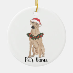 Aangepaste Rhodezische Ridgeback Keramisch Ornament