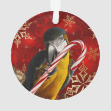 Aangepaste rotfoto's voor- en achterzijde