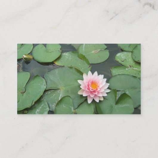 Aangepaste roze/groene Lily Pad Visitekaartje (Achterkant)