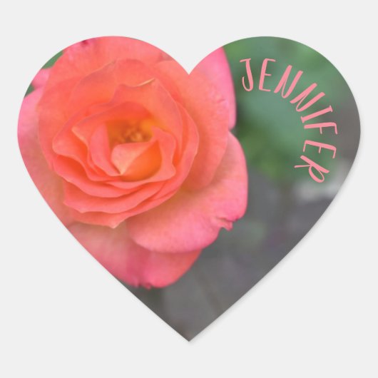 Aangepaste roze koraal Roos Vloeren tuin Hart Sticker (Voorkant)