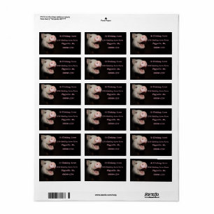 Aangepaste roze mini-Adresetiketten Etiket