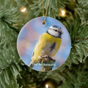 Aangepaste Schattige Blauw Geel Vogel Foto Geperso Keramisch Ornament