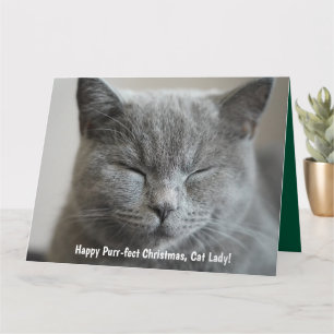 Aangepaste Schattigee Grijs Kat Foto Spint-fect Ke Kaart