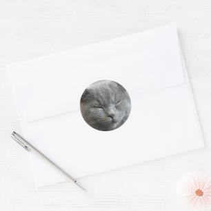 Aangepaste Schattigee Grijze Kitty Cat Foto Ronde Sticker