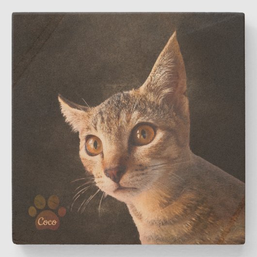 Aangepaste Schattigee Huisdier Kitten Kat Hond Fot Stenen Onderzetter (Voorkant)