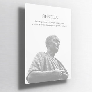 Aangepaste Seneca inspirerend offerte Poster
