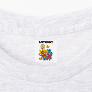 Aangepaste  Sesamstraat Vrienden Kleding Labels