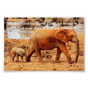 Aangepaste Slogan/Behoud olifant Moeder & Kalf Foto Afdruk