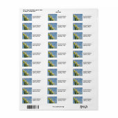 Aangepaste stickers labels Voeg uw tekst toe Iriss (Full Sheet)