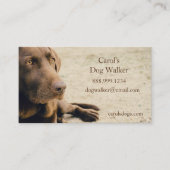 Aangepaste tandproever, Pet Sitting Business Servi Visitekaartje (Voorkant)