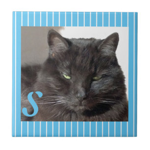 Aangepaste Tegel voor keramische katten Tegeltje