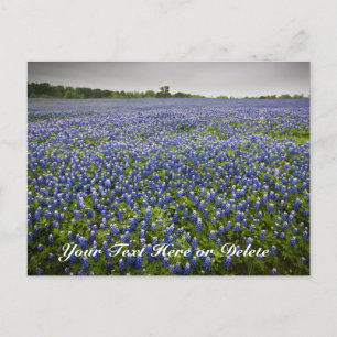 Aangepaste tekst Blauwe lente Blauwbonnetjes Texas Briefkaart