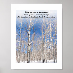 Aangepaste tekst Blauwe lucht Torenhoge Espen In S Poster