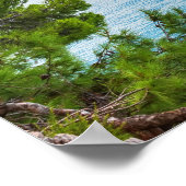 Aangepaste tekst Montenegro Poster (Hoek)