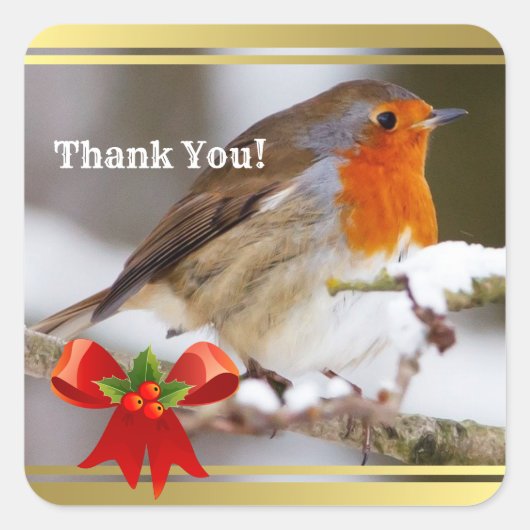 Aangepaste tekst schattige robin dank u vierkante sticker (Voorkant)