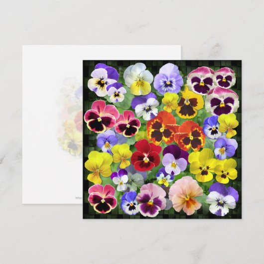 Aangepaste tekst voor pansy Collage (Voorkant / Achterkant)