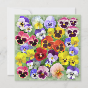 Aangepaste tekst voor  pansy Collage
