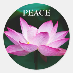 Aangepaste tekst Zen Pink Lotus Flower Peace Stick Ronde Sticker