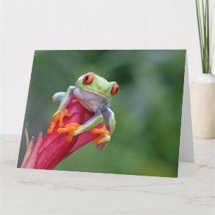 Aangepaste tekstekstkikker kaart