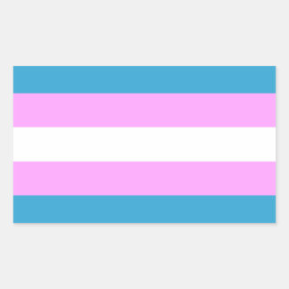 Aangepaste Trans-vlag Rechthoekige Sticker