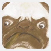 Aangepaste trommel AFICIONADO Puggy Cigar Vierkante Sticker (Voorkant)