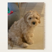 Aangepaste twee foto familienaam en jaar planner (Achterkant)