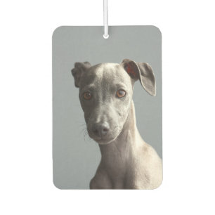 Aangepaste tweezijdige foto van Pet Dog Aangepaste Luchtverfrisser