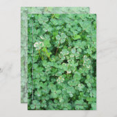 Aangepaste uitnodigingen voor groene witte shamroc (Voorkant / Achterkant)