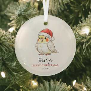 Aangepaste valkparkiet met kerstmuts eerste kerstf glas ornament