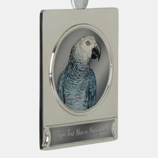 Aangepaste versiering van je foto hier Keepsakes Verzilverd Banner Ornament (Rechts)