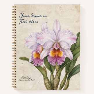 Aangepaste Vintage Cattleya Trianae Orchidee Botan Notitieboek