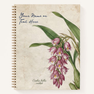 Aangepaste Vintage Coelia Bella Orchidee Botanisch Notitieboek