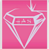 Aangepaste Vinyl Gesneden Logo Sticker door HAS Ju (Voorkant)