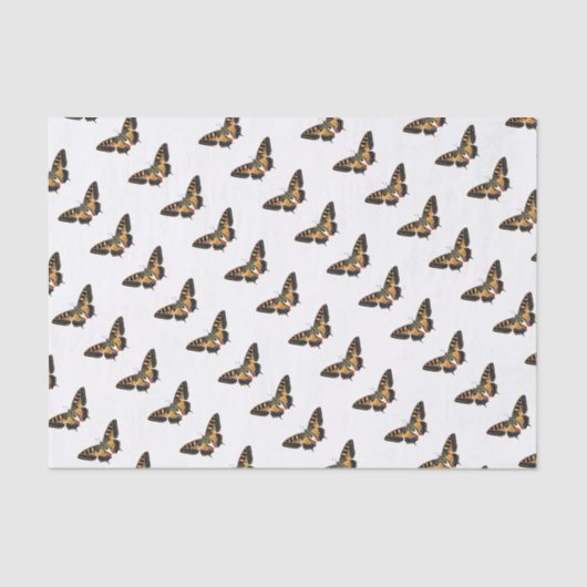 aangepaste vlinders tissuepapier (Voorkant)