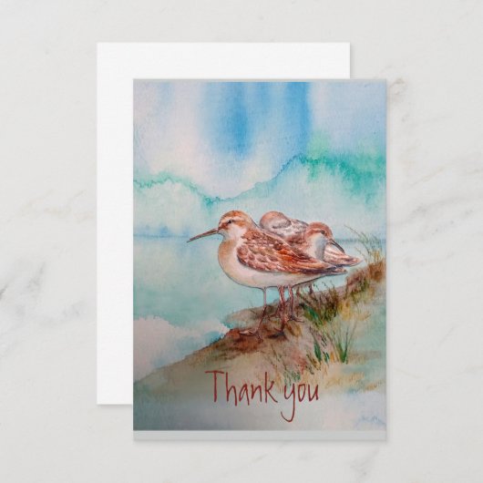 Aangepaste Waterverf Sandpiper Shore Beach Bird Ar Bedankkaart (Voorkant / Achterkant)