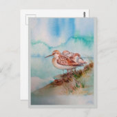 Aangepaste Waterverf Sandpiper Shore Beach Bird Ar Briefkaart (Voorkant / Achterkant)