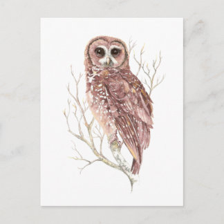 Aangepaste Waterverf, vogels, Natuur, wild Briefkaart