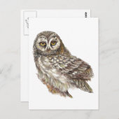 Aangepaste Waterverf, vogels, Natuur, wild Briefkaart (Voorkant / Achterkant)